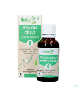 Herbalgem sequoia bio    30ml