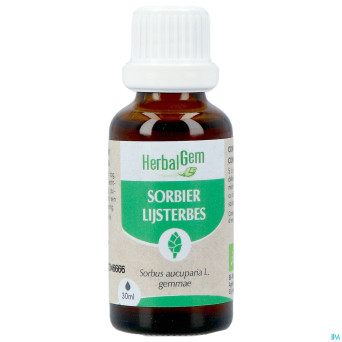 Herbalgem sorbier bio    30ml