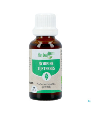 Herbalgem sorbier bio    30ml