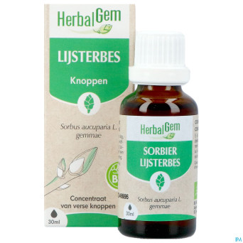 Herbalgem sorbier bio    30ml