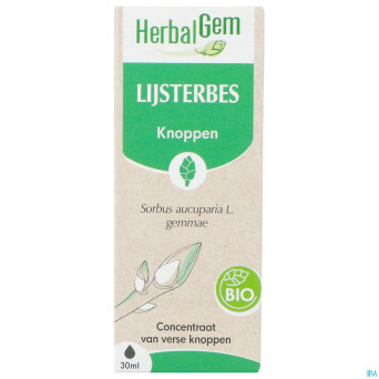 Herbalgem sorbier bio    30ml