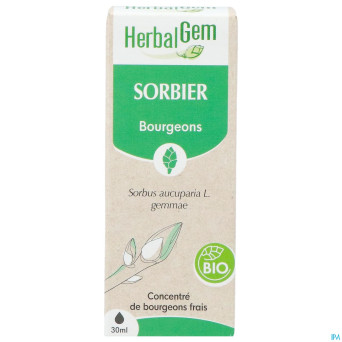 Herbalgem sorbier bio    30ml