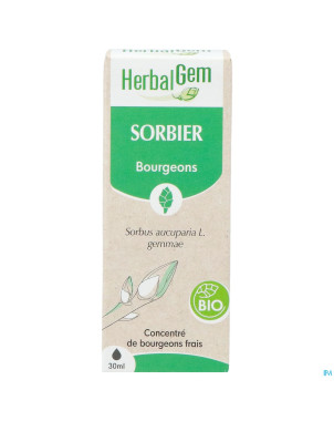 Herbalgem sorbier bio    30ml