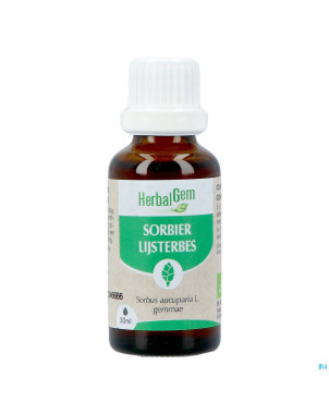 Herbalgem sorbier bio    30ml