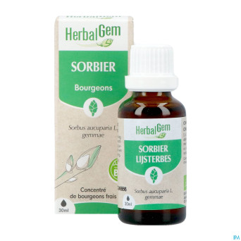Herbalgem sorbier bio    30ml