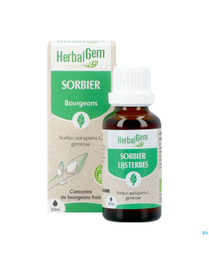 Herbalgem sorbier bio    30ml