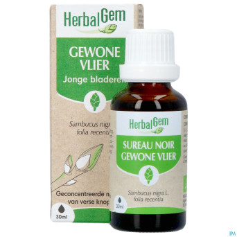 Herbalgem sureau noir bio    30ml
