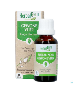 Herbalgem sureau noir bio    30ml