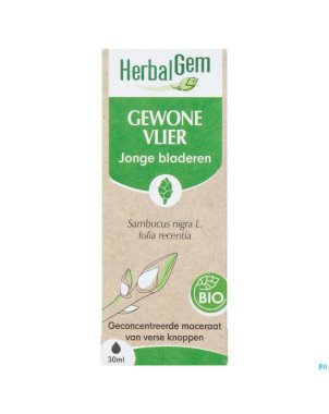 Herbalgem sureau noir bio    30ml