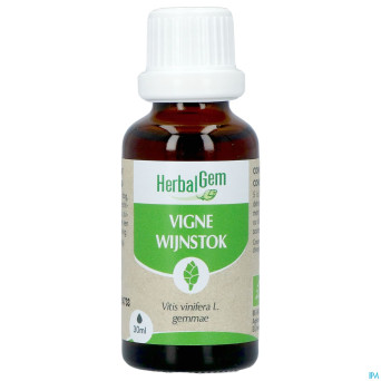 Herbalgem vigne bio    30ml