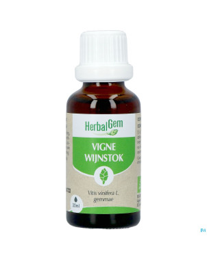 Herbalgem vigne bio    30ml