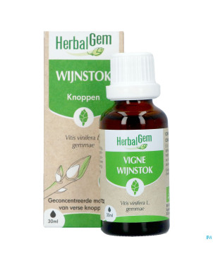 Herbalgem vigne bio    30ml