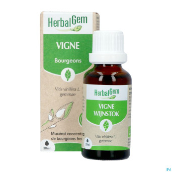 Herbalgem vigne bio    30ml