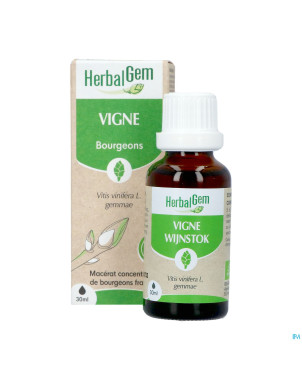 Herbalgem vigne bio    30ml