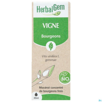 Herbalgem vigne bio    30ml