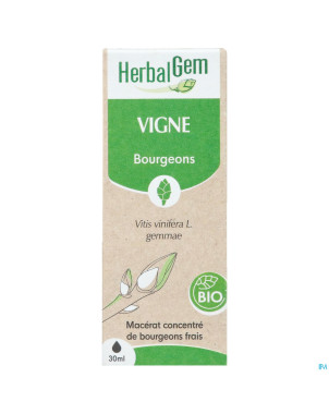 Herbalgem vigne bio    30ml