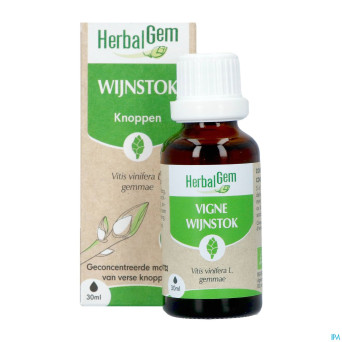 Herbalgem vigne bio    30ml