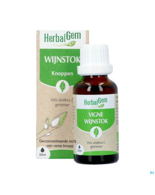 Herbalgem vigne bio    30ml