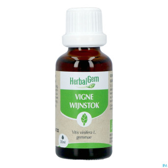 Herbalgem vigne bio    30ml