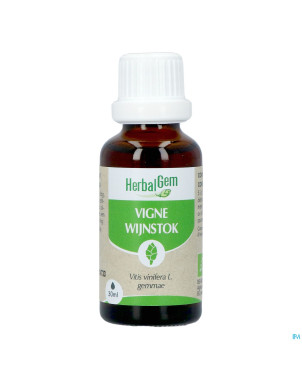 Herbalgem vigne bio    30ml
