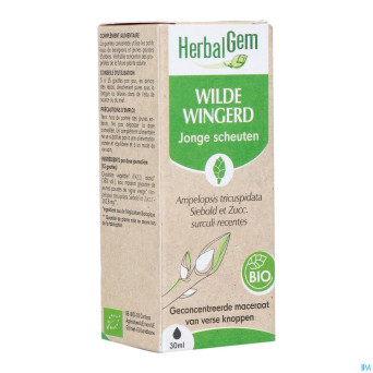 Herbalgem vigne vier bio    30ml