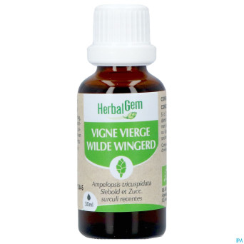 Herbalgem vigne vier bio    30ml