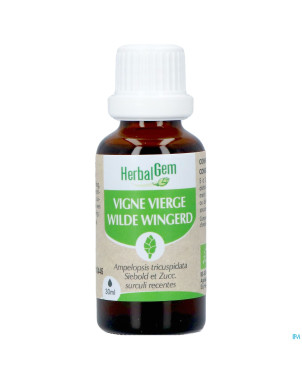 Herbalgem vigne vier bio    30ml