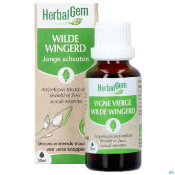 Herbalgem vigne vier bio    30ml