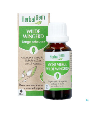 Herbalgem vigne vier bio    30ml