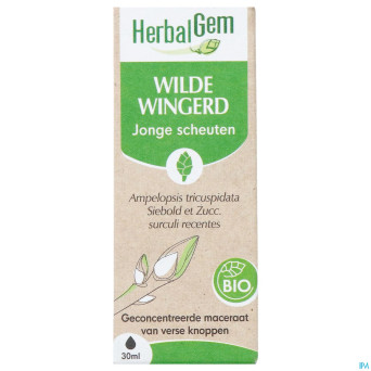 Herbalgem vigne vier bio    30ml