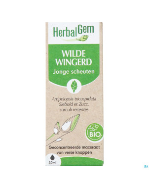 Herbalgem vigne vier bio    30ml