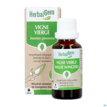 Herbalgem vigne vier bio    30ml