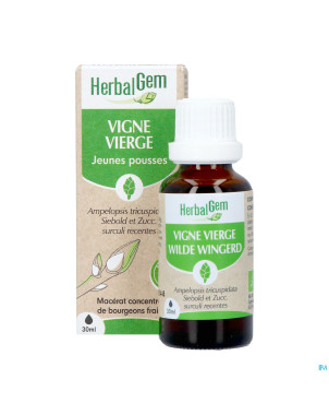 Herbalgem vigne vier bio    30ml