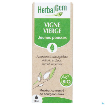Herbalgem vigne vier bio    30ml