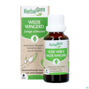 Herbalgem vigne vier bio    30ml