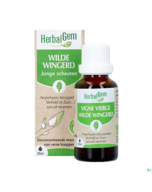 Herbalgem vigne vier bio    30ml