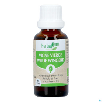 Herbalgem vigne vier bio    30ml