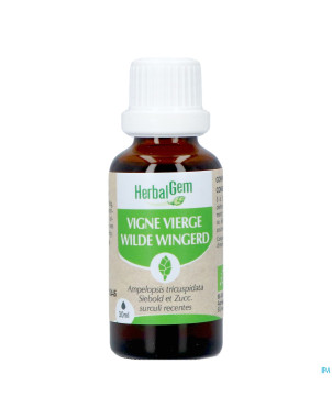 Herbalgem vigne vier bio    30ml