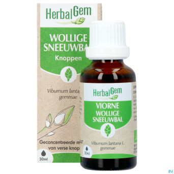 Herbalgem viorne bio    30ml