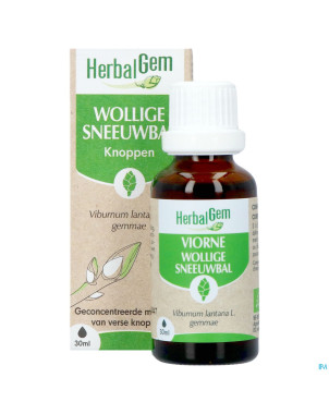 Herbalgem viorne bio    30ml