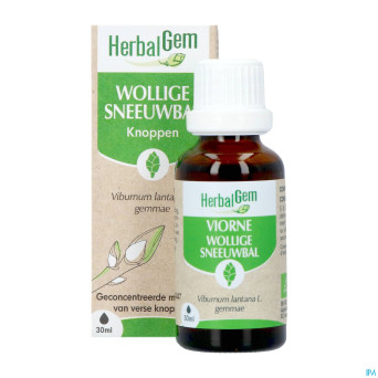 Herbalgem viorne bio    30ml