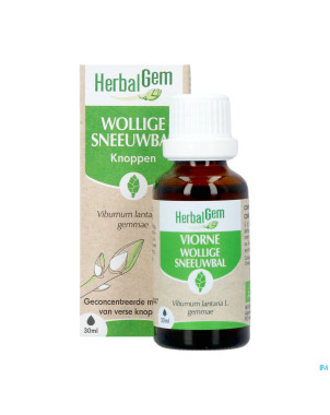 Herbalgem viorne bio    30ml