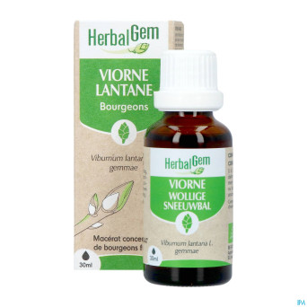 Herbalgem viorne bio    30ml