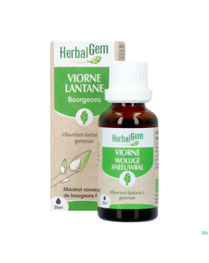 Herbalgem viorne bio    30ml