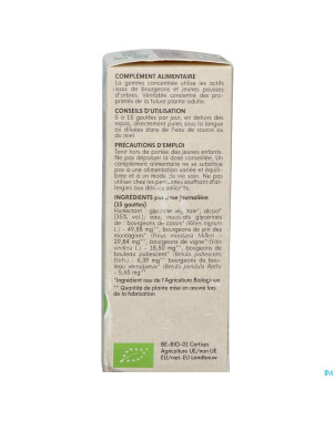 Herbalgem artigem bio    30ml