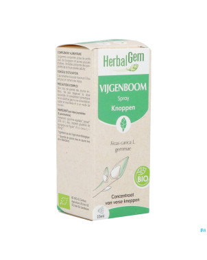 Herbalgem figuier bio spray    15ml