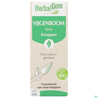 Herbalgem figuier bio spray    15ml