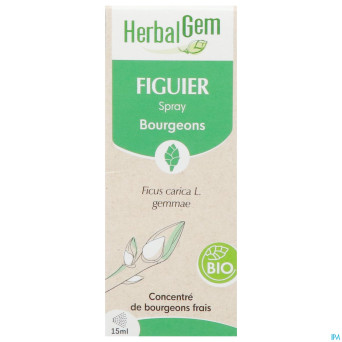 Herbalgem figuier bio spray    15ml