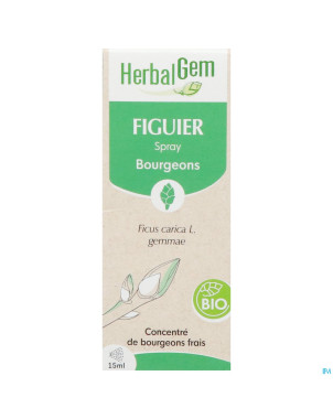 Herbalgem figuier bio spray    15ml