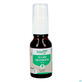 Herbalgem figuier bio spray    15ml